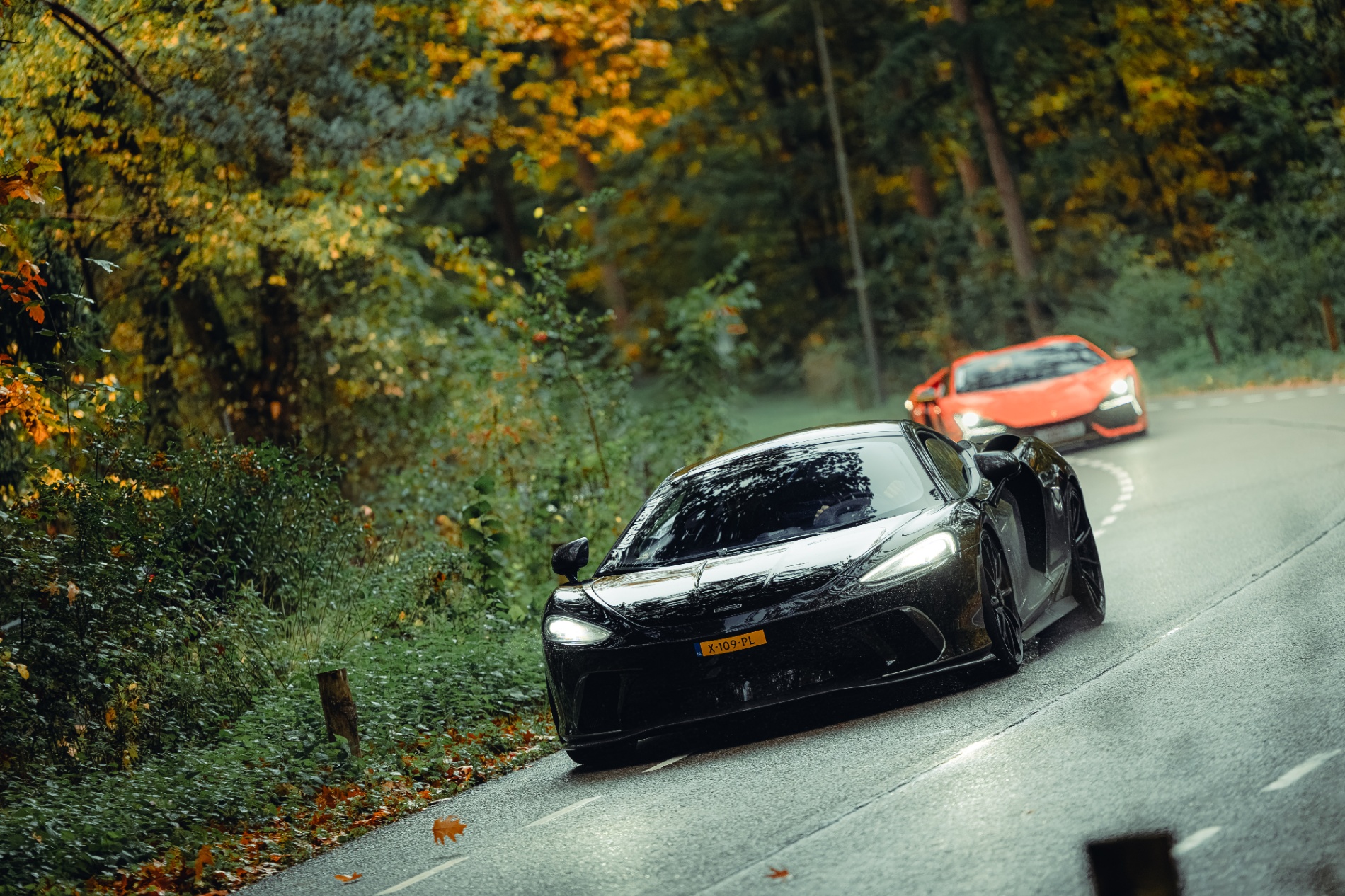 Autumn Drive 2026, atmosphere impression 9.
